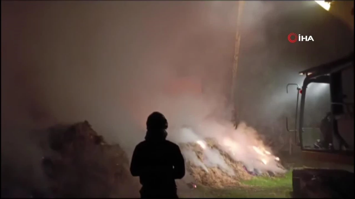 Yalova Altınova\'da samanlık yangını