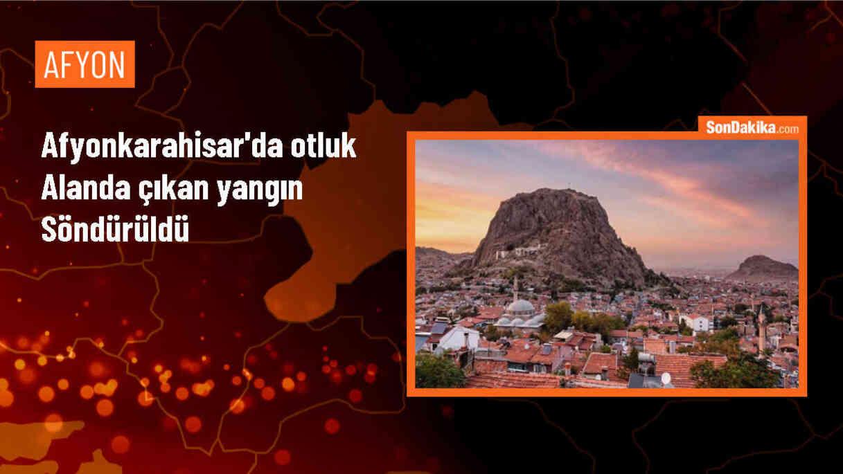 Afyonkarahisar\'da çıkan yangın itfaiye ekipleri tarafından söndürüldü