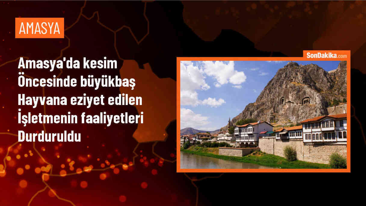 Tarım ve Orman Bakanı: Hayvana eziyet görüntüleri kabul edilemez