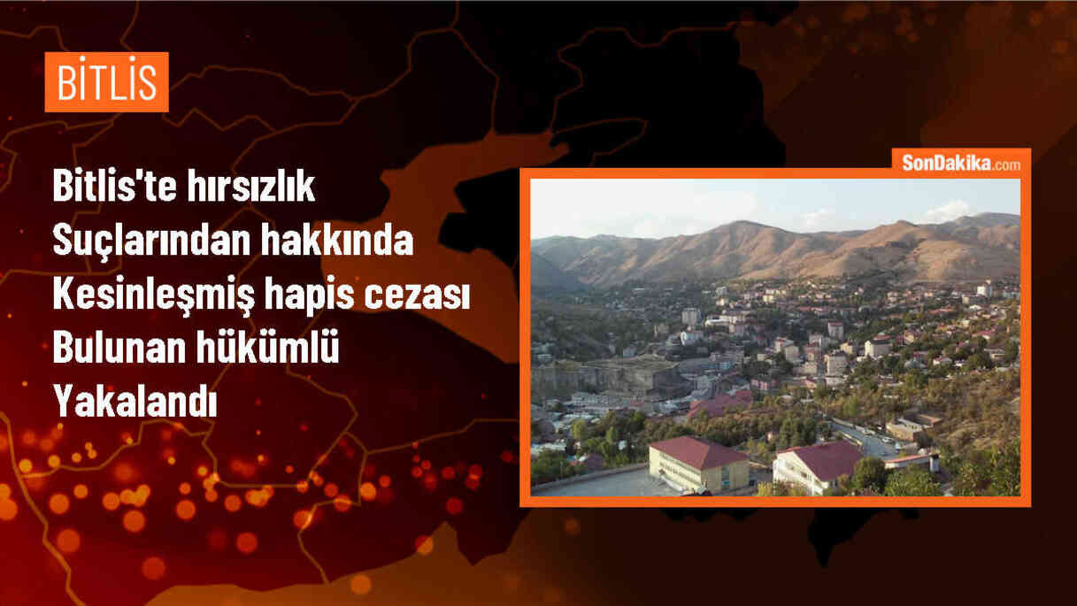 Tatvan\'da hırsızlık suçlarından aranan hükümlü yakalandı
