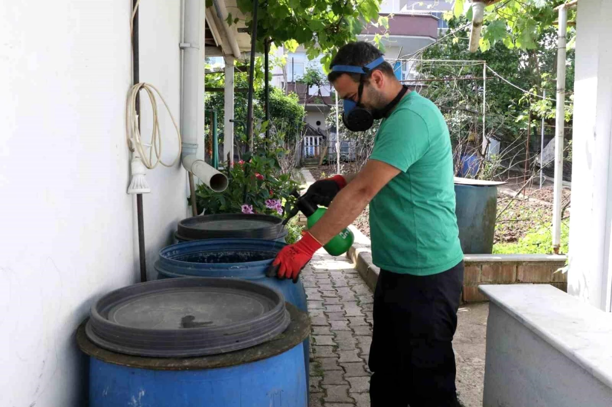 Kocaeli Büyükşehir Belediyesi Sivrisineklerle Mücadele Çalışmalarına Devam Ediyor