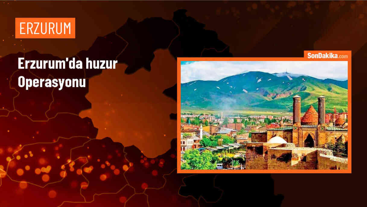 Erzurum\'da \'Huzurum Erzurum Projesi\' kapsamında denetimler gerçekleştirildi