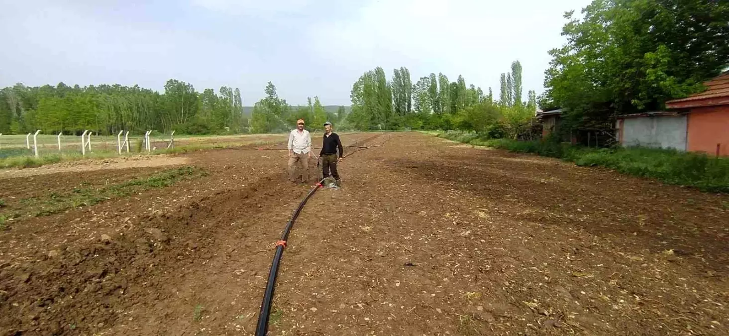 Hisarcık\'ta kuraklık nedeniyle pancar tohumları filiz vermedi