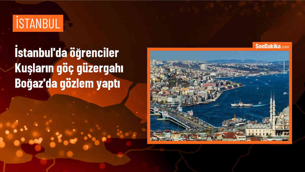 İstanbul Boğazı\'nda Kuş Gözlem Etkinliği Düzenlendi