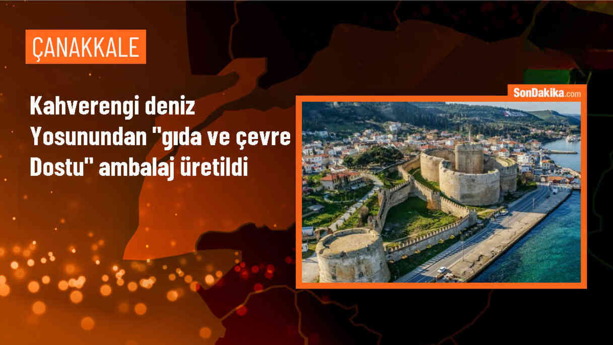 Çevreye ve Gıdaya Dost Ambalaj: Kahverengi Deniz Yosunundan Üretildi