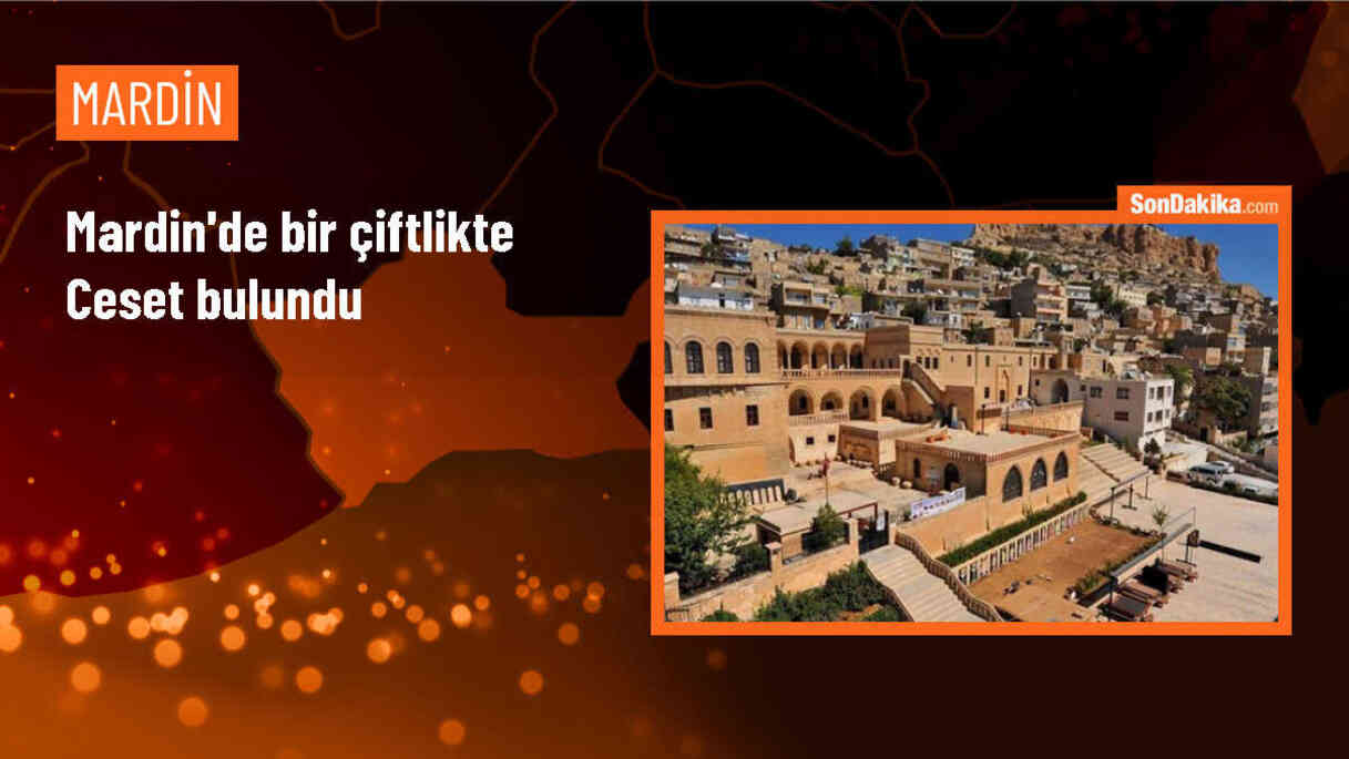 Mardin\'de bir çiftlikte ceset bulundu