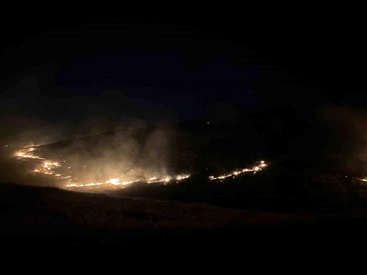 Şanlıurfa\'da ormanlık alanda çıkan yangına vatandaşlar ve ekipler müdahale ediyor