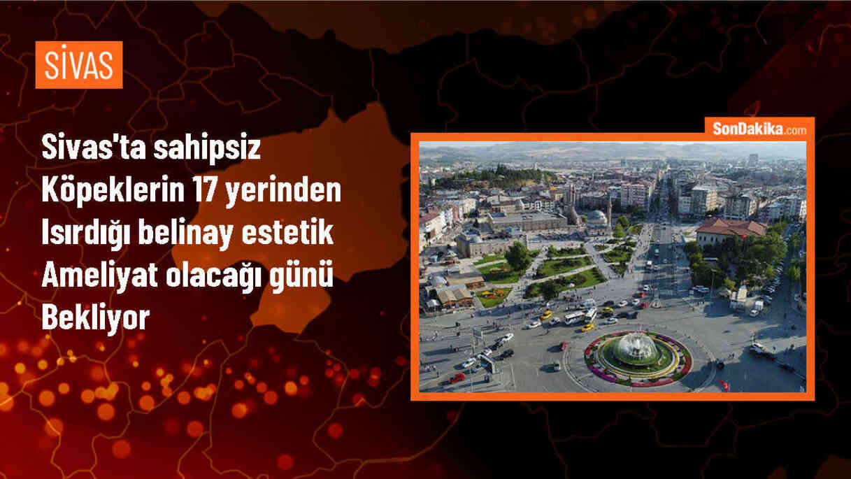 Sivas\'ta sahipsiz köpeklerin saldırısına uğrayan çocuğun yaşadıkları