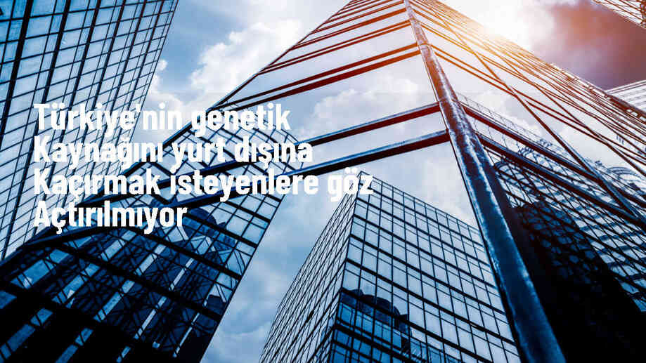 Biyokaçakçılıkla Mücadelede 21 Ülkeden 156 Kişiye 5,6 Milyon TL Cezası Verildi