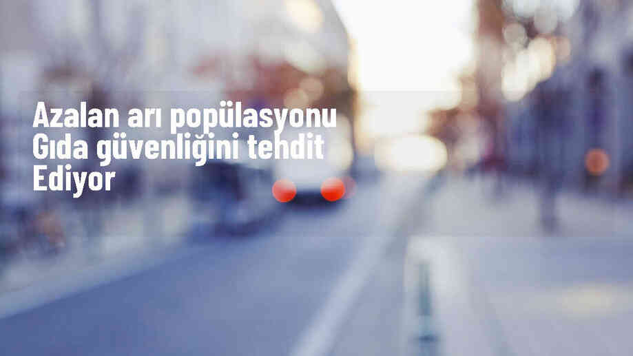 Arıların ve Diğer Tozlayıcıların Popülasyonu Tehlike Altında