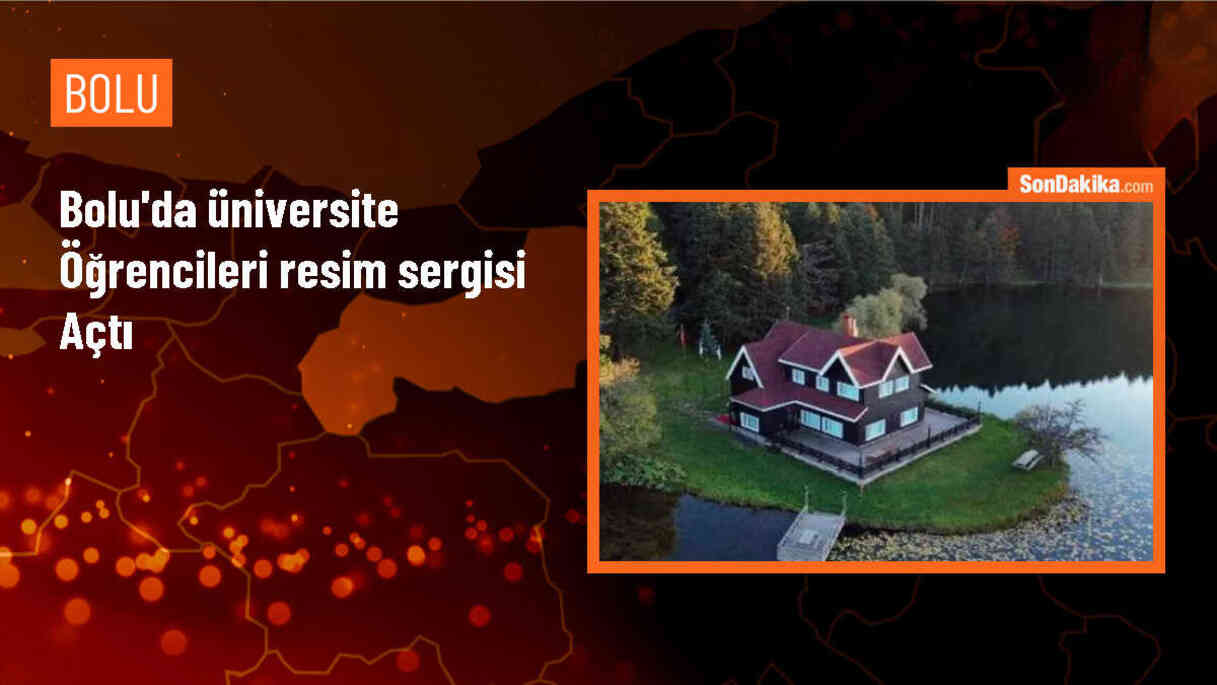 Bolu\'da Üniversite Öğrencileri Tarafından Yapılan Resimler Sergide Beğeni Topladı