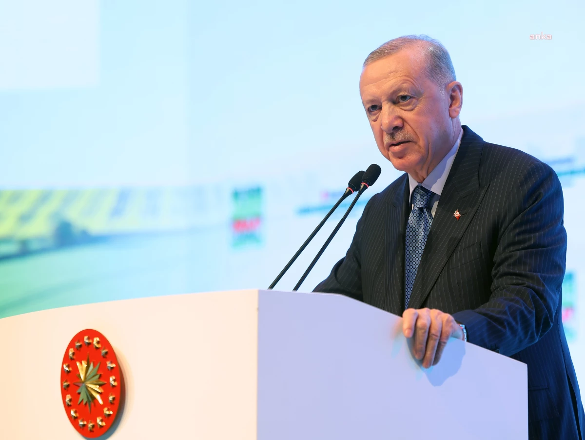 Cumhurbaşkanı Erdoğan\'dan 19 Mayıs mesajı: Gençlerimize tarihimizi sahip çıkma çağrısı