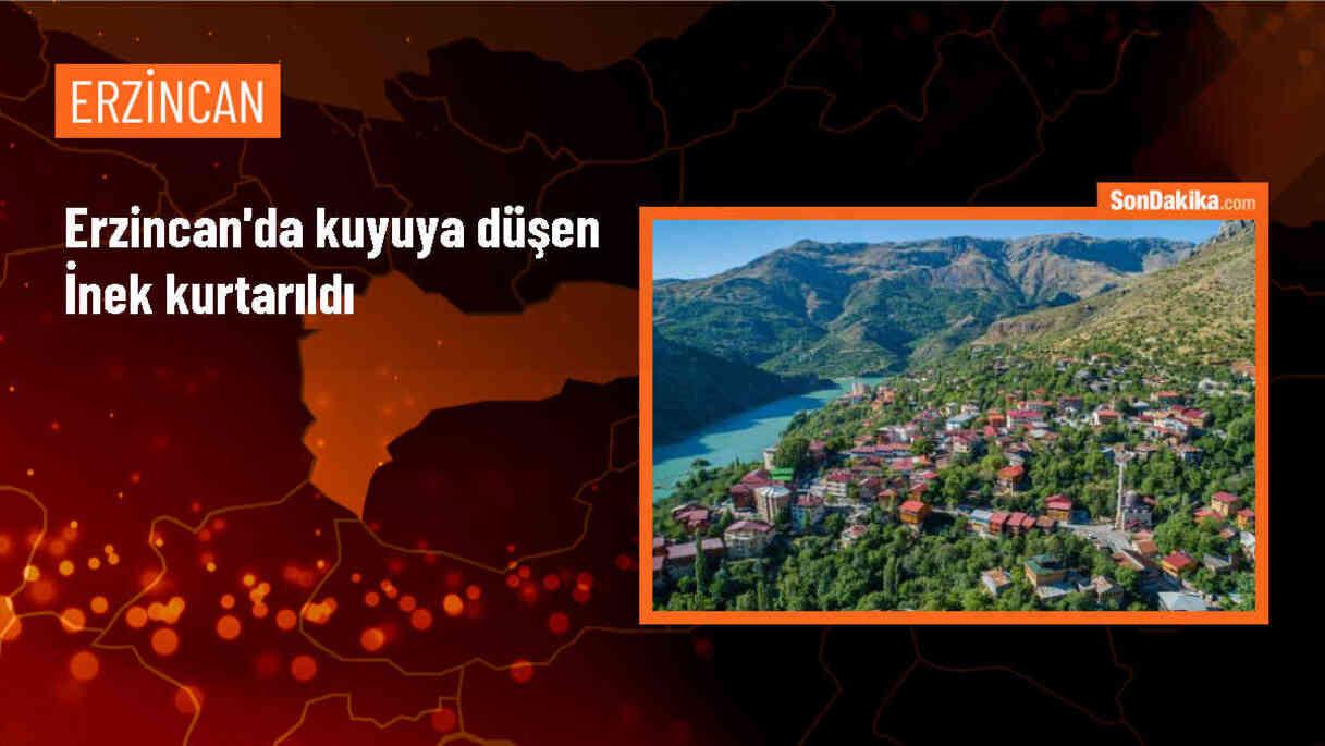 Erzincan\'da kuyuya düşen inek iş makinesiyle kurtarıldı