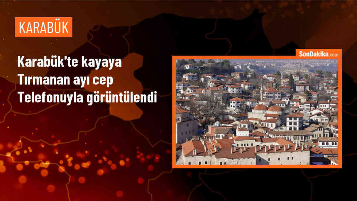 Karabük\'ün Safranbolu ilçesinde ayının kayaya tırmandığı anlar kaydedildi