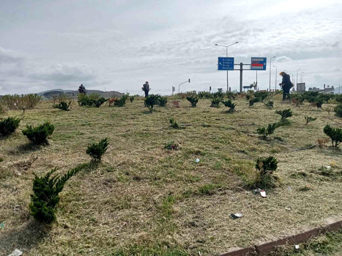 Kayseri Büyükşehir Belediyesi Yabancı Ot Temizliği ve Çim Biçme Çalışmalarına Devam Ediyor