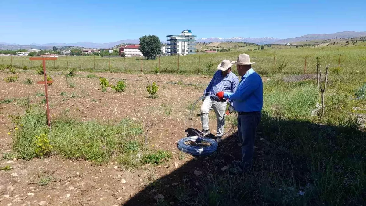 Diyarbakır\'da Üzüm Yetiştiriciliği İçin Örtü Altı Sistemi Uygulanıyor