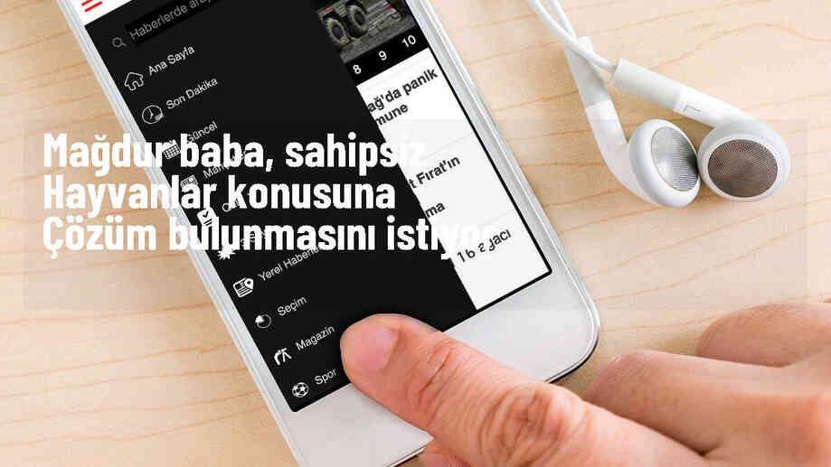 Sahipsiz Hayvanlarla İlgili Çözüm Bekleniyor