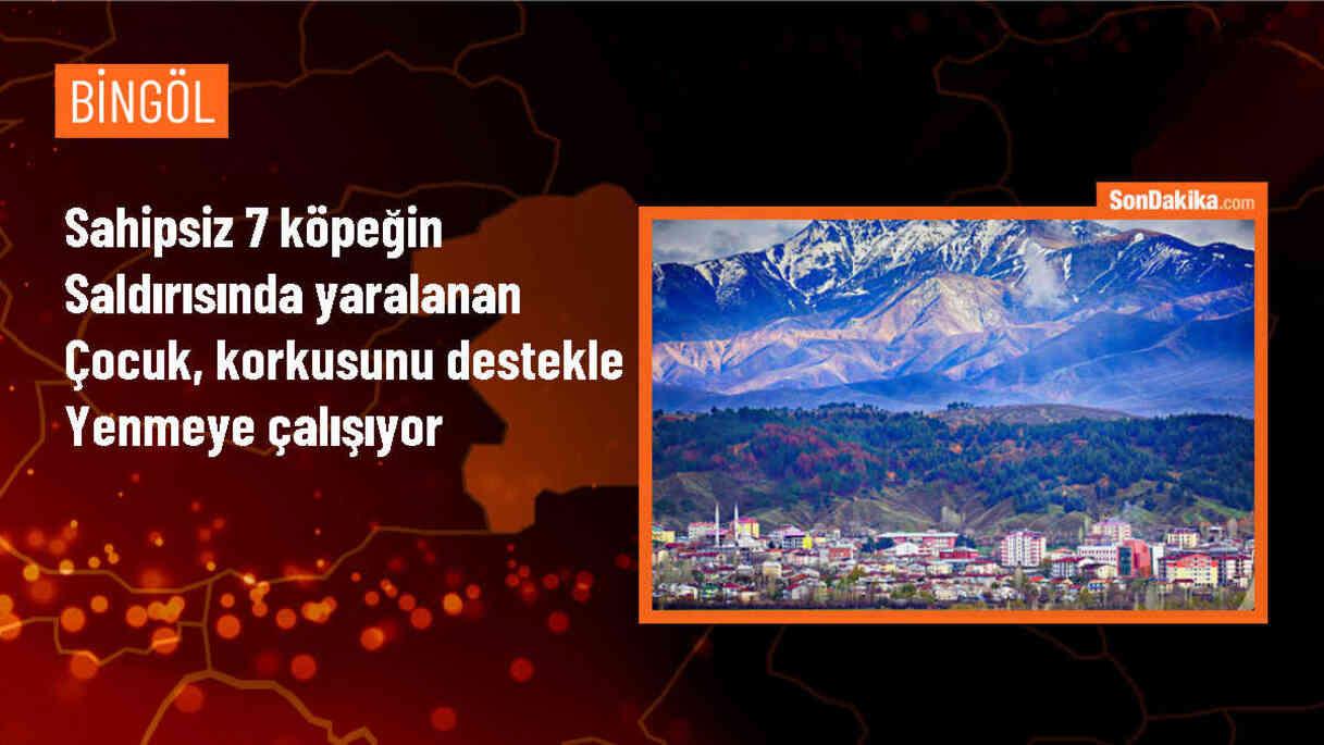 Bingöl\'de sahipsiz köpeklerin saldırısına uğrayan çocuk, psikolojik destek alıyor