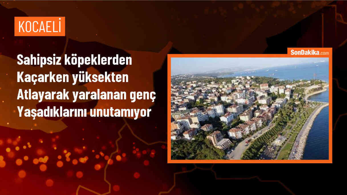 Kocaeli\'de Köpek Saldırısına Uğrayan Üniversite Öğrencisi Çözüm İstiyor