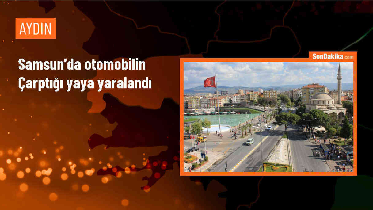 Samsun\'da Yaya Otomobilin Çarpması Sonucu Yaralandı