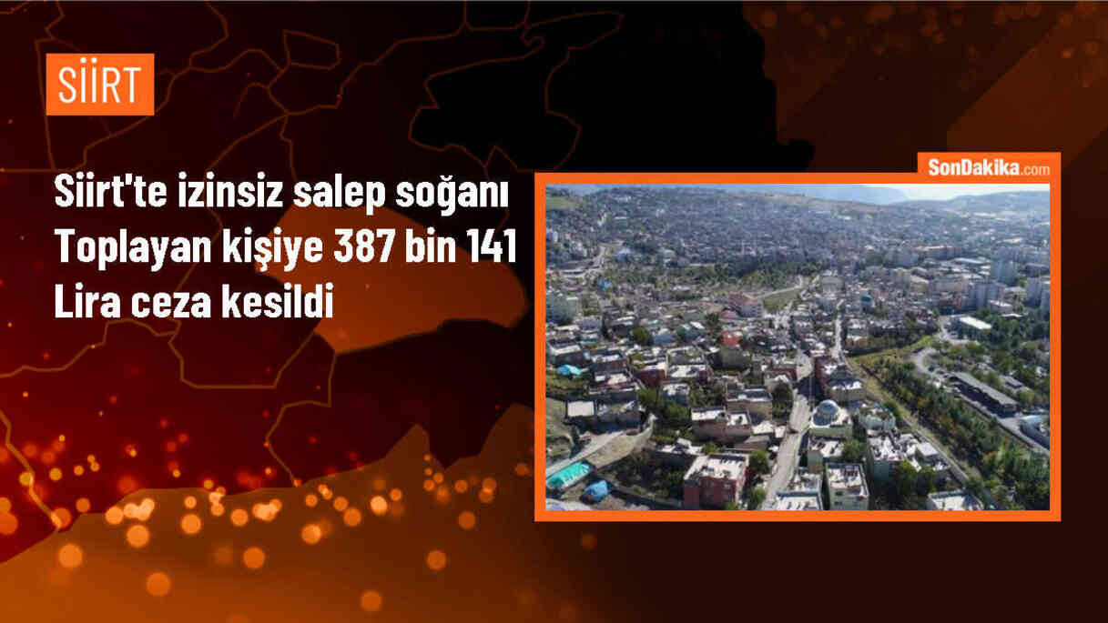 Siirt\'te Koruma Altındaki Salep Soğanı Kaçakçısına Yüksek Cezai İşlem