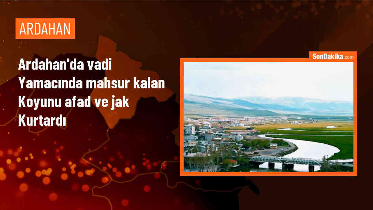 Ardahan\'da mahsur kalan koyun AFAD ve JAK ekipleri tarafından kurtarıldı