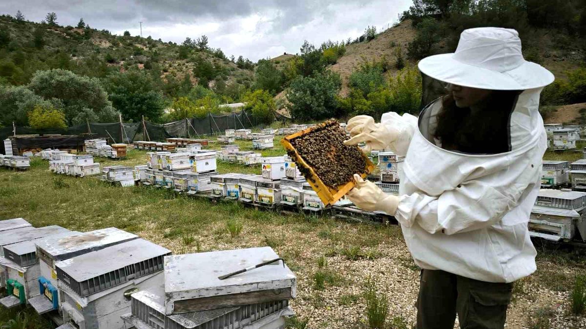 Turizm Sektöründen Arıcılığa Geçiş: Nilay Boyluoğlu