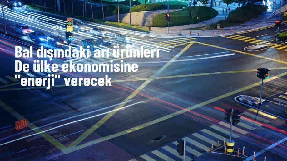 Türkiye Arı Ürünleri İhracatında İlerliyor