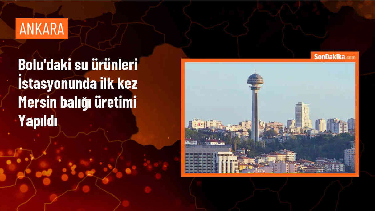 Bolu\'da Mersin Balığı Üretimi İlk Denemede Başarılı
