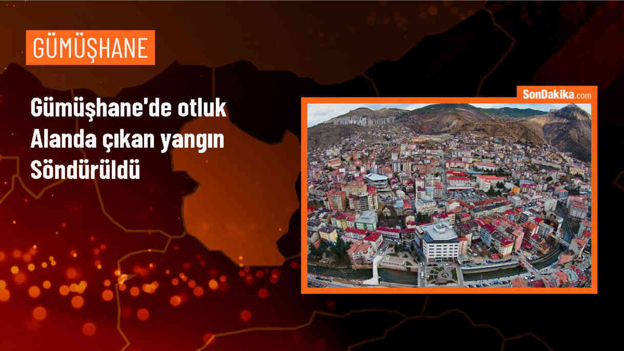 Gümüşhane\'de otluk alanda çıkan yangın söndürüldü