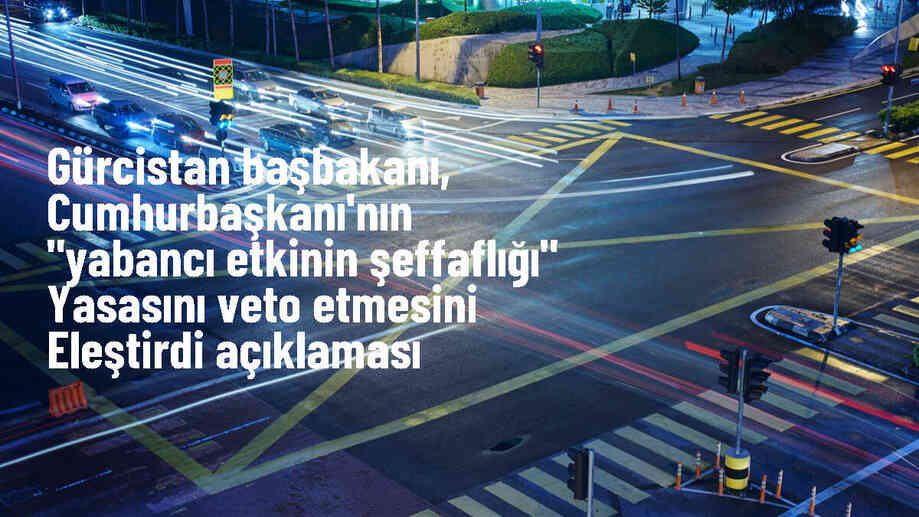 Gürcistan Başbakanı, Cumhurbaşkanını yasa veto etmekle suçladı
