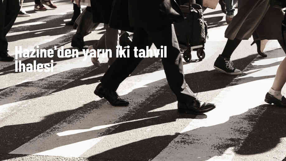 Hazine ve Maliye Bakanlığı, yarın iki devlet tahvili ihalesi düzenleyecek