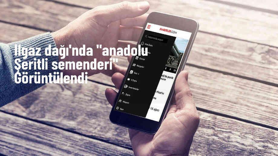 Ilgaz Dağı Milli Parkı\'nda Anadolu şeritli semenderi görüldü