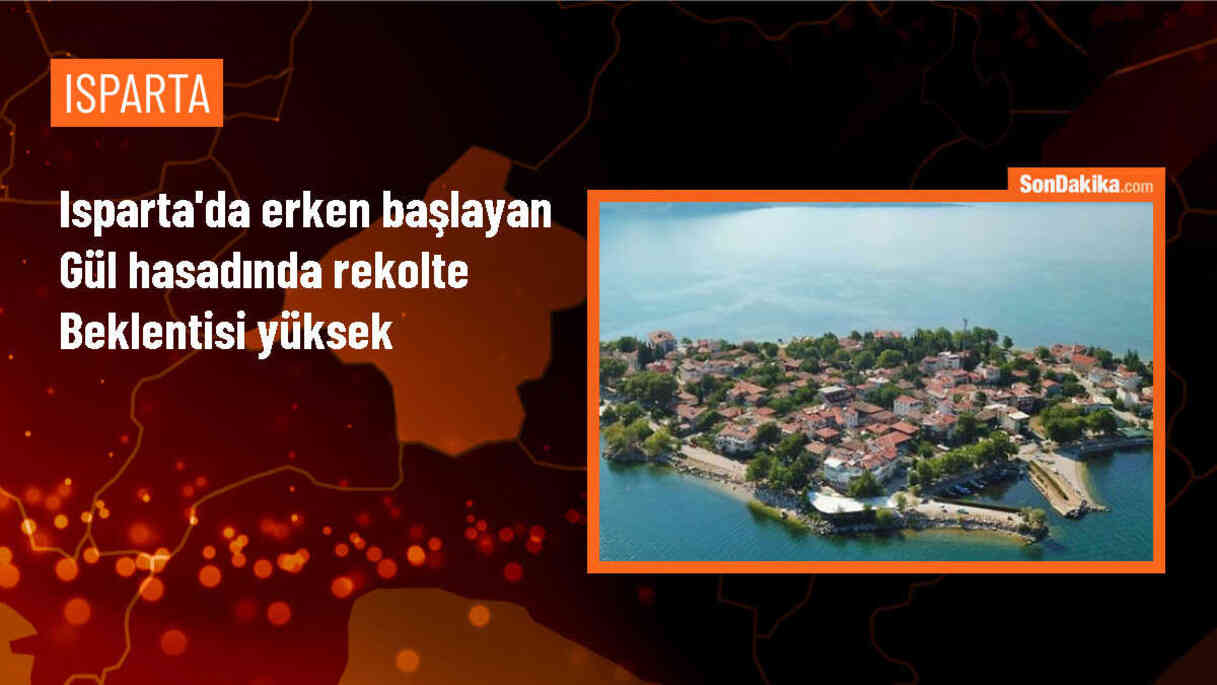 Isparta\'da Gül Hasadı Erken Başladı, Yüksek Rekolte Bekleniyor