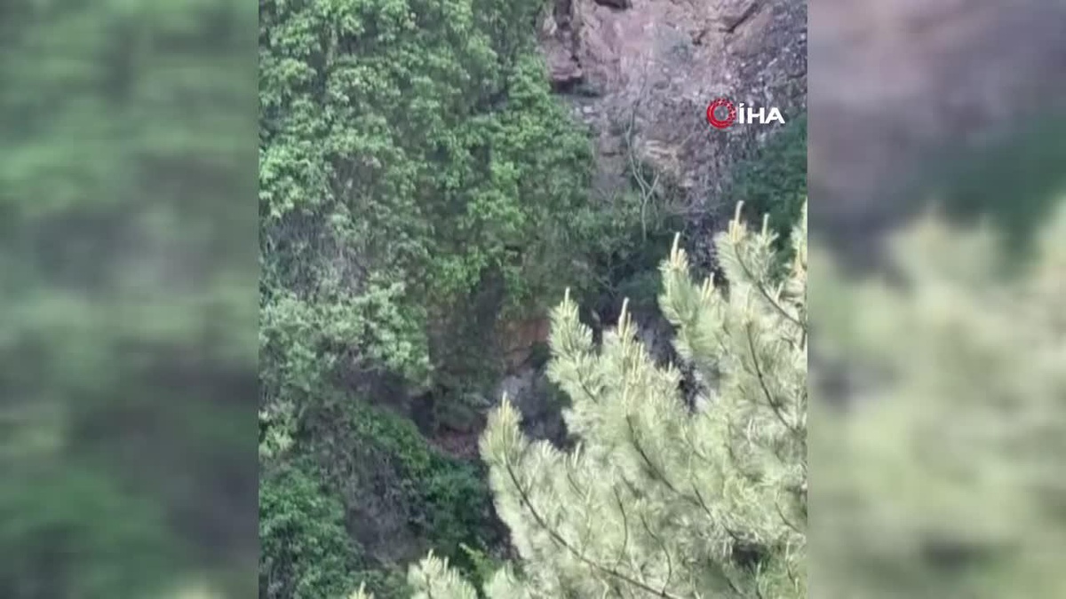 Kayalıklara tırmanan ayı kamerada