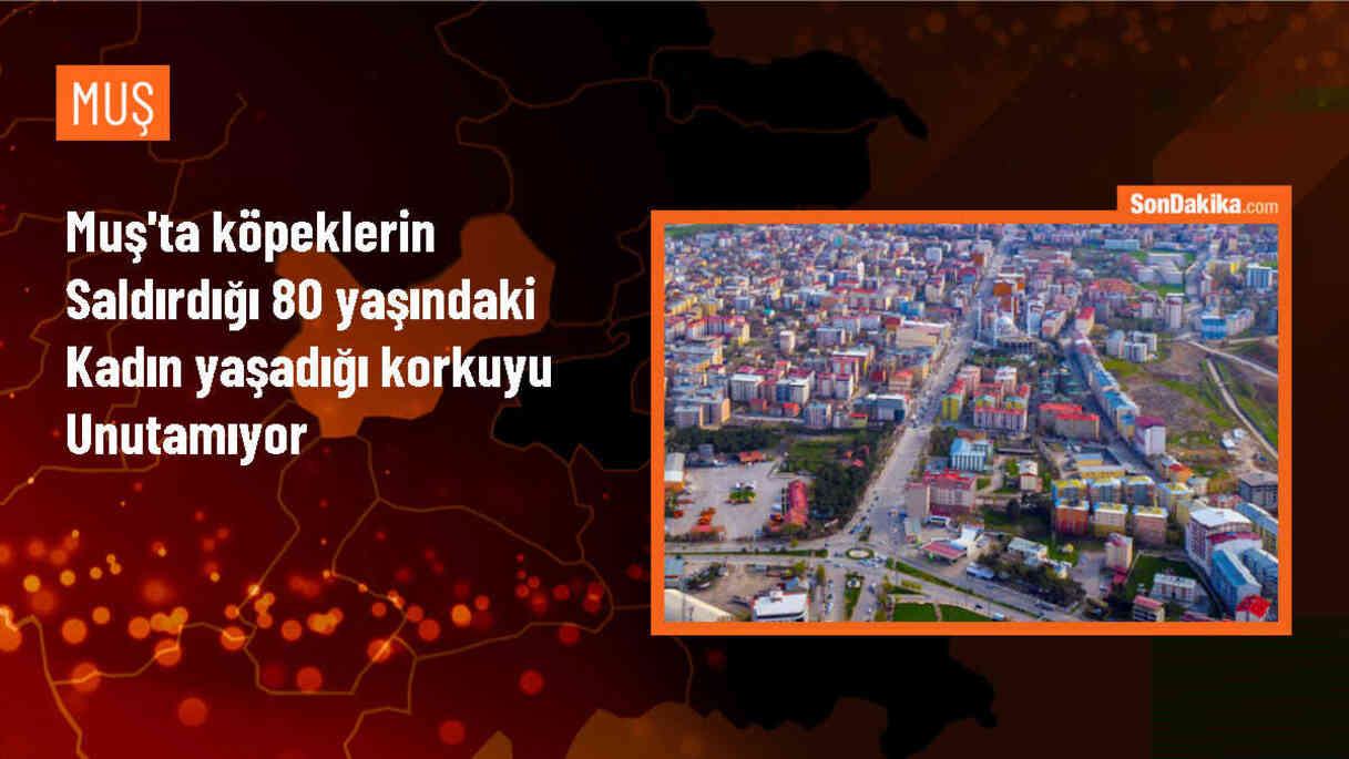 Muş\'ta köpek saldırısına uğrayan yaşlı kadın evden çıkamıyor