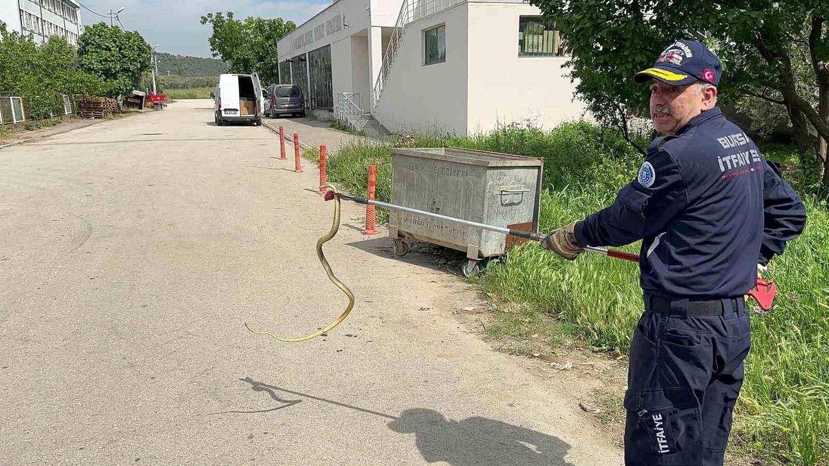 İznik\'te Polis Aracına Giren Yılan İtfaiye Tarafından Kurtarıldı