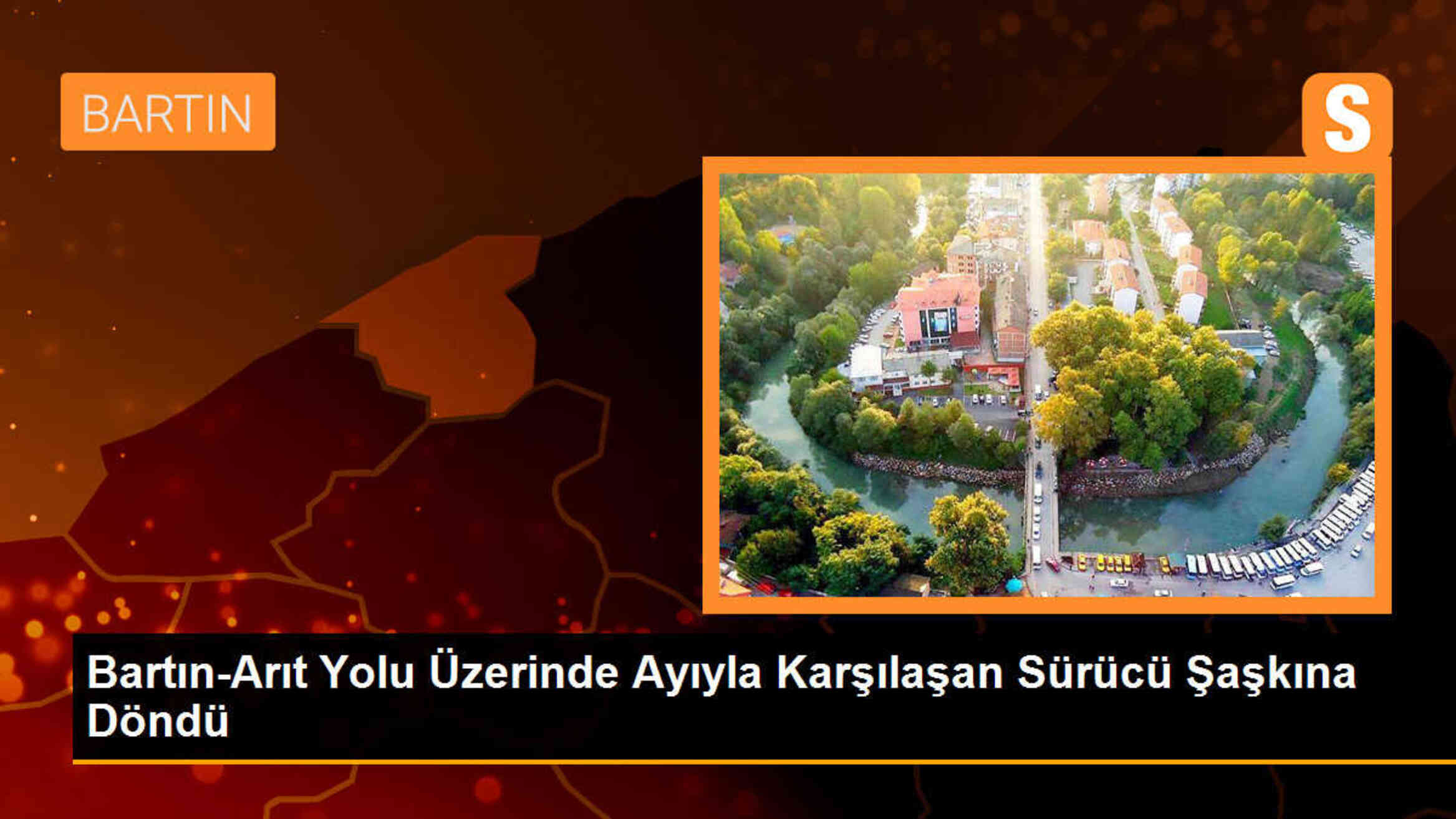 Bartın-Arıt Yolu Üzerinde Sürücünün Karşısına Ayı Çıktı