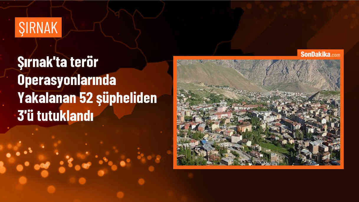 Şırnak\'ta FETÖ, DEAŞ ve PKK/KCK operasyonunda 3 kişi tutuklandı