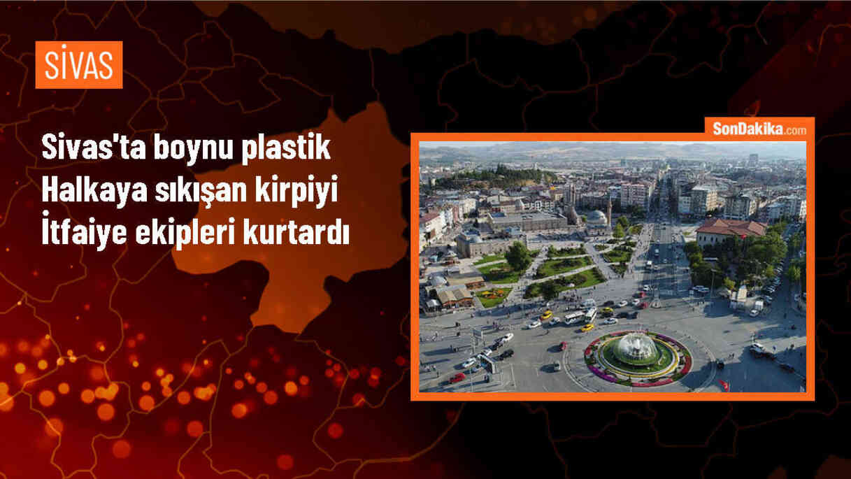 Sivas\'ta boynu plastik halkaya sıkışan kirpi itfaiye ekiplerince kurtarıldı