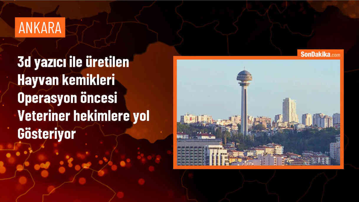 Ankara Üniversitesi Veteriner Fakültesi\'nde 3D Yazıcılarla Canlı Kemik ve Organ Modelleri Üretiliyor