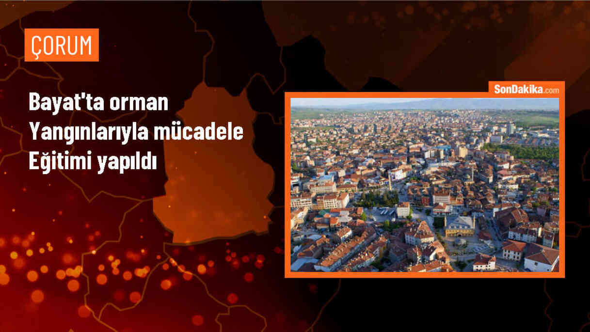 Çorum\'un Bayat ilçesinde orman yangınlarıyla mücadele eğitimi verildi