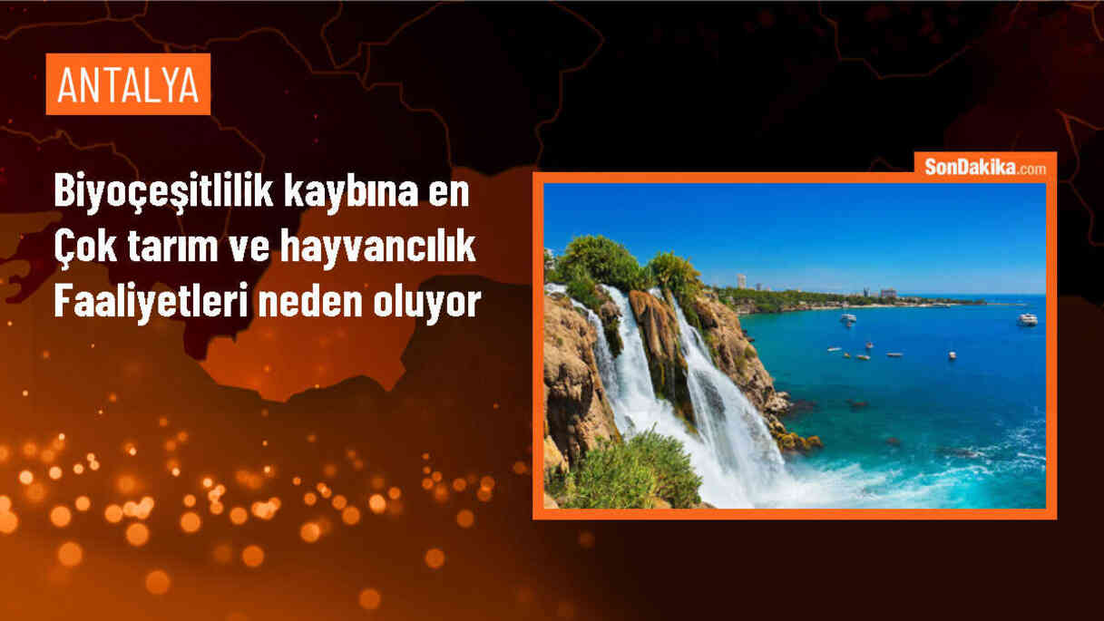 Uzmanlar, biyoçeşitlilik kaybının tarım ve hayvancılık faaliyetlerinden kaynaklandığını belirtti