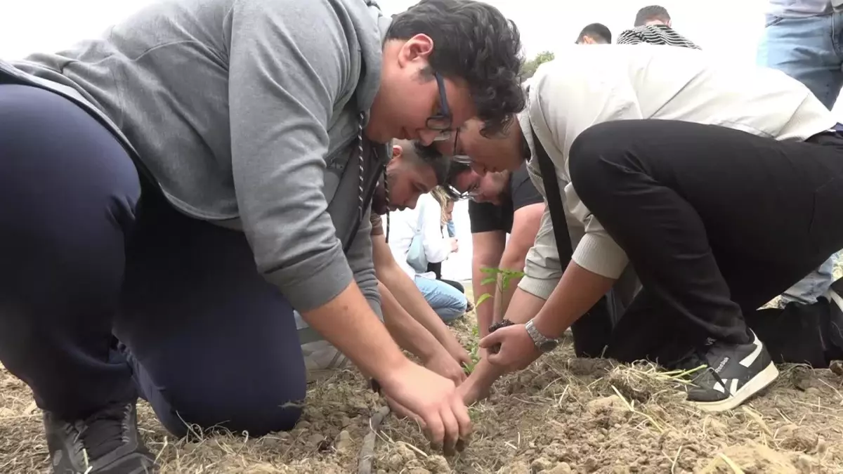 Bornova Belediyesi, Ziraat Mühendisliği öğrencilerine tarım eğitimi veriyor