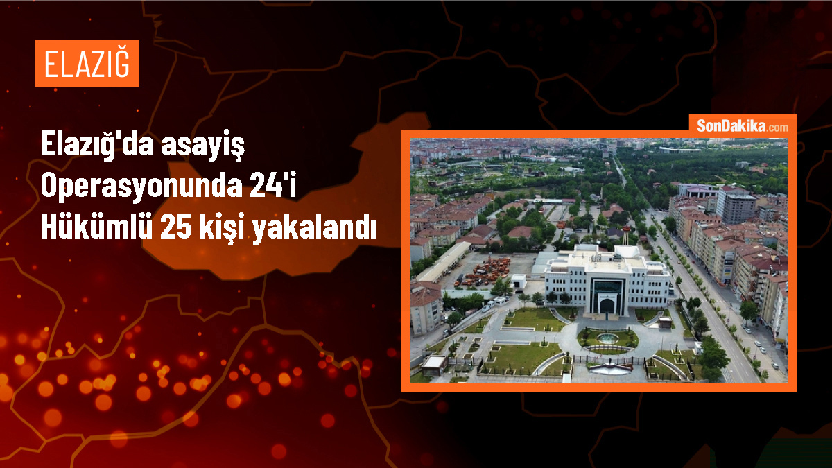 Elazığ\'da düzenlenen asayiş operasyonlarında 24\'ü hükümlü 25 kişi yakalandı