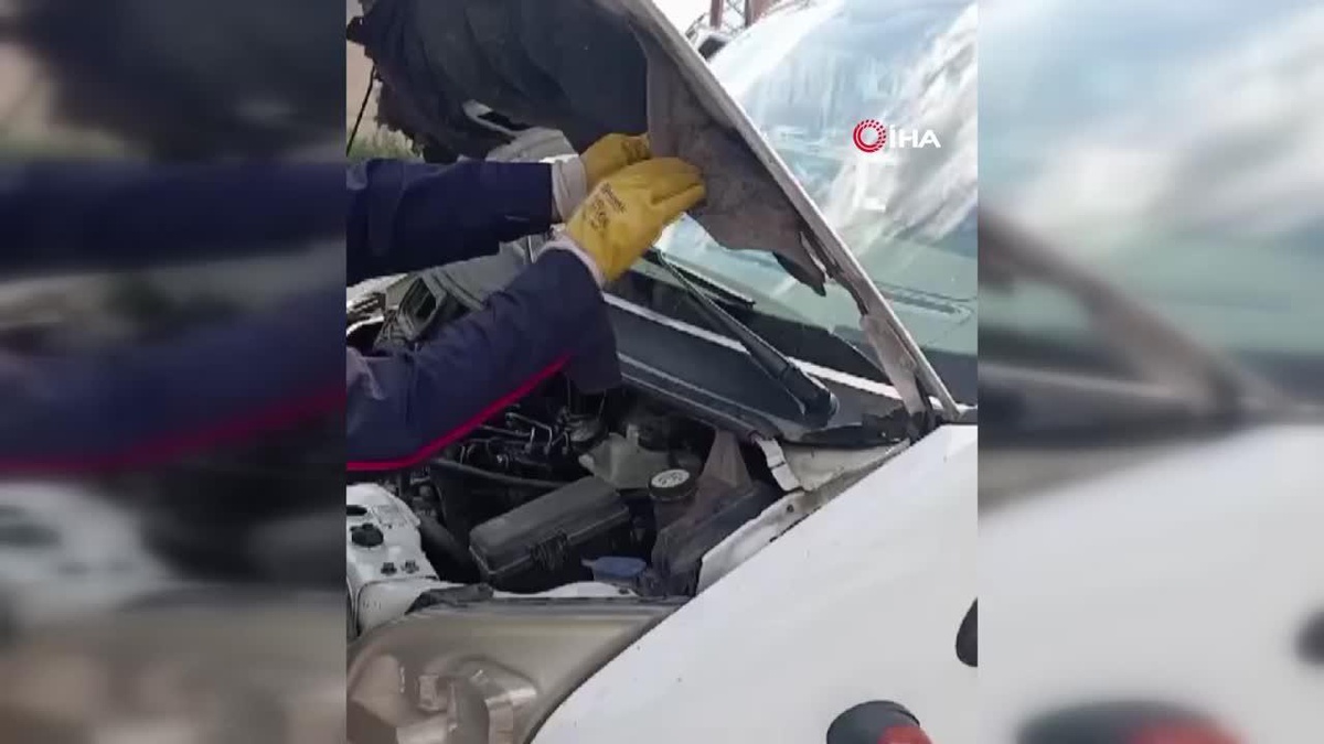 Minibüsün motor kaputuna giren yılan itfaiye ekipleri tarafından çıkartıldı