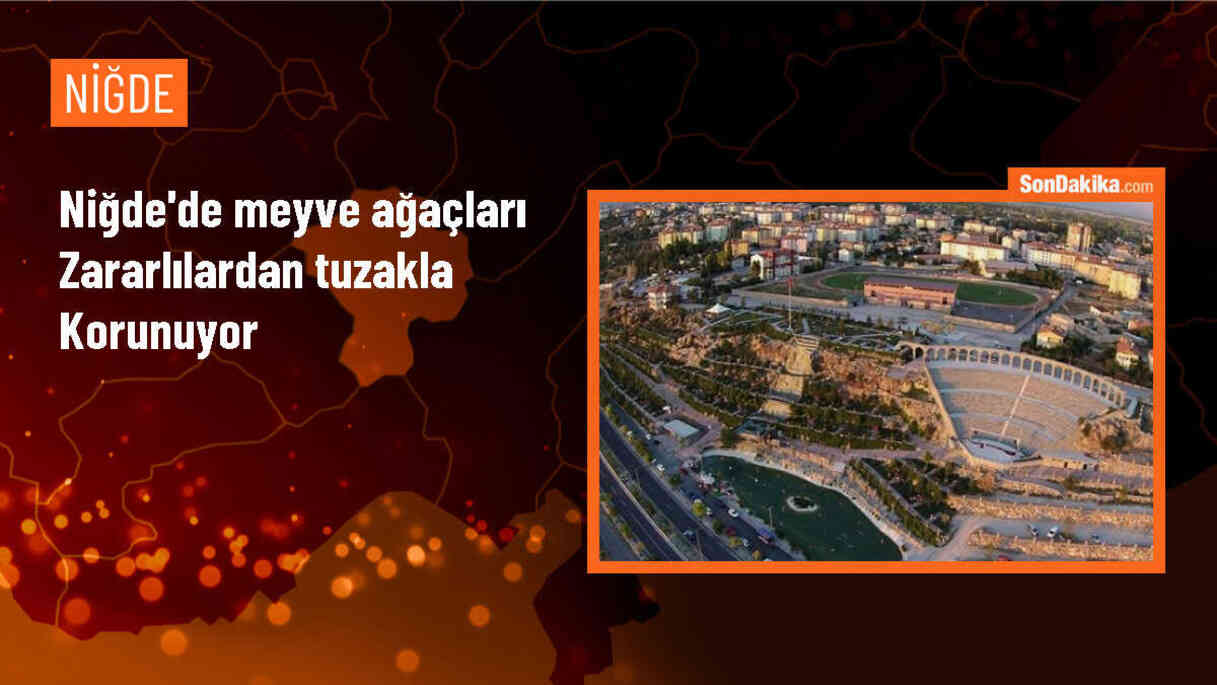 Niğde\'de meyve ağaçlarına haşerelerden korumak için tuzaklar yerleştirildi