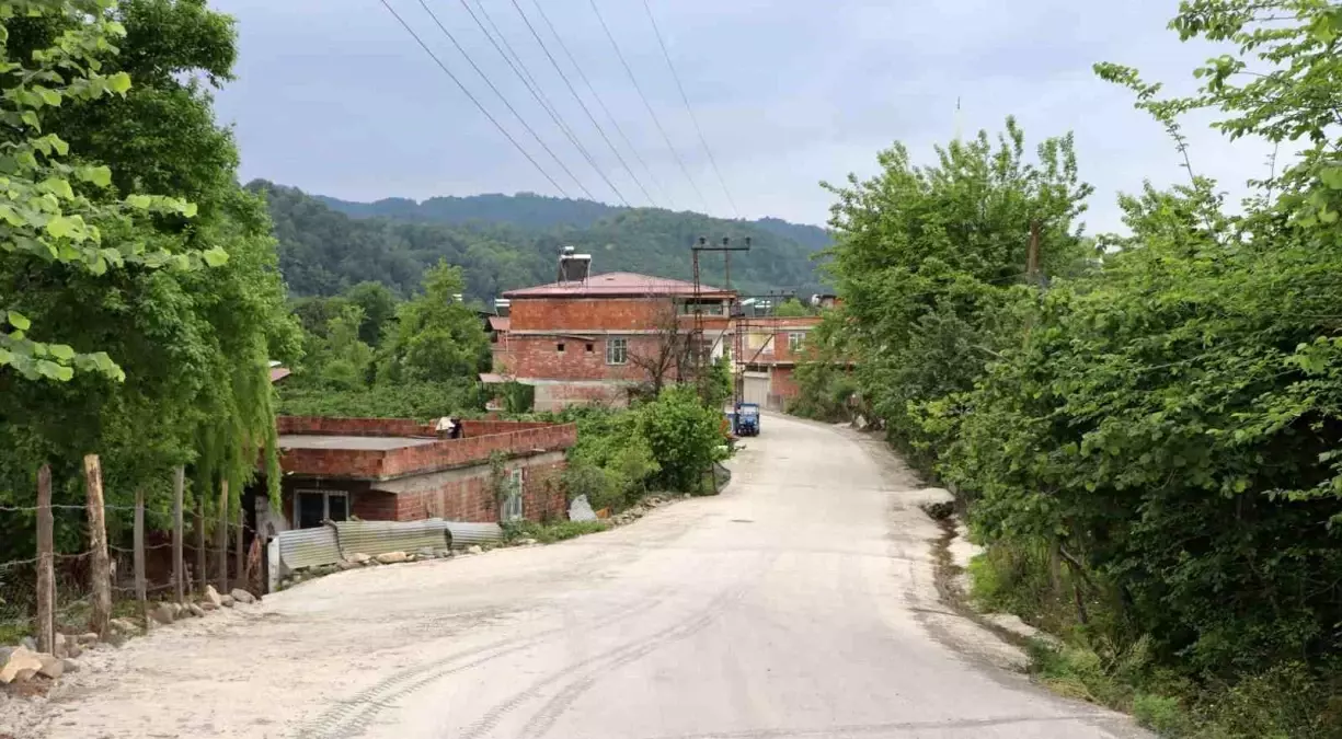 Ordu Büyükşehir Belediyesi Yenikent Mahallesi\'nde beton yol çalışması gerçekleştirdi