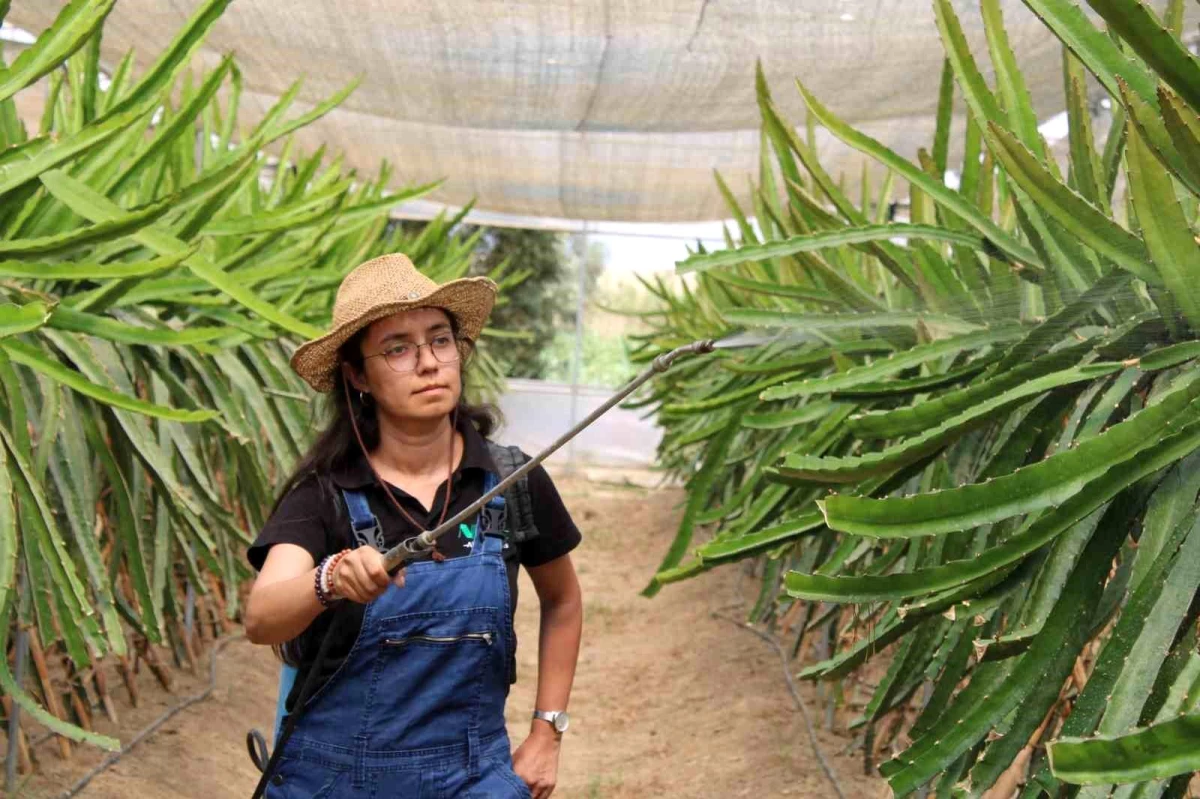 Plaza Hayatından Sıkılan Genç Kadın, Çiftçilik Yaparak Huzuru Buldu