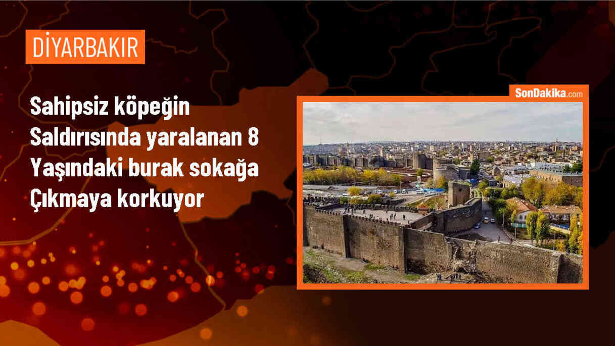 Diyarbakır\'da köpek saldırısına uğrayan çocuk, sokaklara çıkmaktan korkuyor